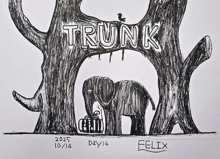 Trunk(樹幹/象鼻/行李箱)