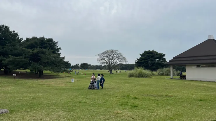 草原區同樣有深不見底的感覺。