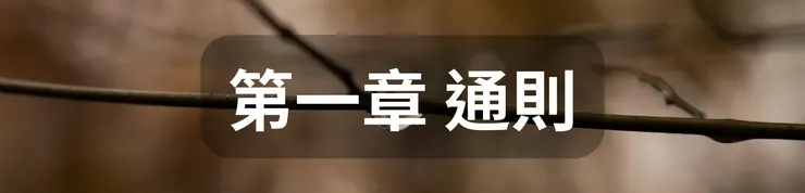 第一章 通則