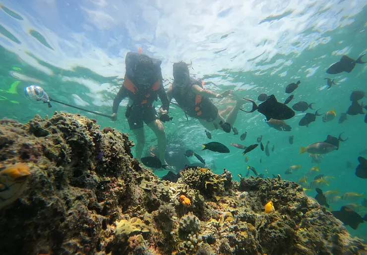 在仙本那的每一天幾乎都在海裡！