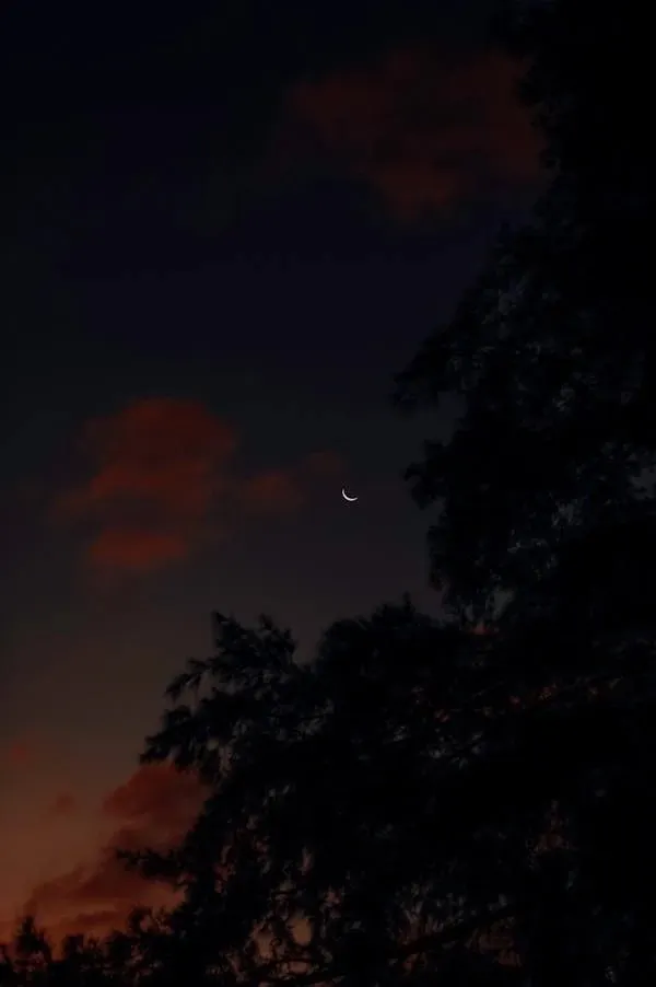 小小的月亮在夜裡獨自撐著， 就像我，在時間的另一端， 還在等一個，永遠回不來的你。