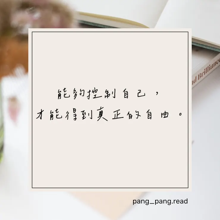 ᴘᴀɴɢ-ᴘᴀɴɢ • 閱讀筆記☁