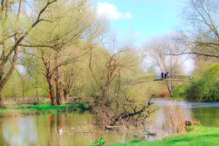 牛津大學公園一景