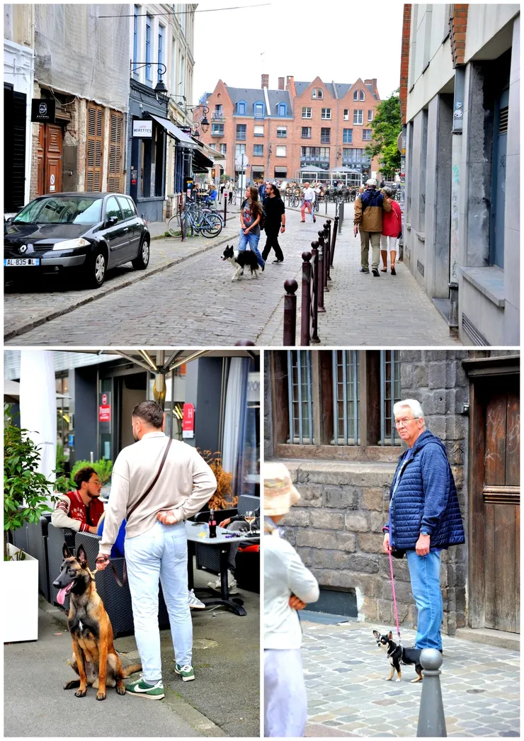 【吃飽後繼續漫遊！自己有養狗就會對同在街上遛狗的同好們特加注意。在歐洲碰到的毛孩子，教養都非常好，不吠人、不追車，主人吃飯也只靜靜坐在一旁，不會露出一臉饞相。怡青說，狗訓練師可是很夯的行業，凡有養狗的都會請。】