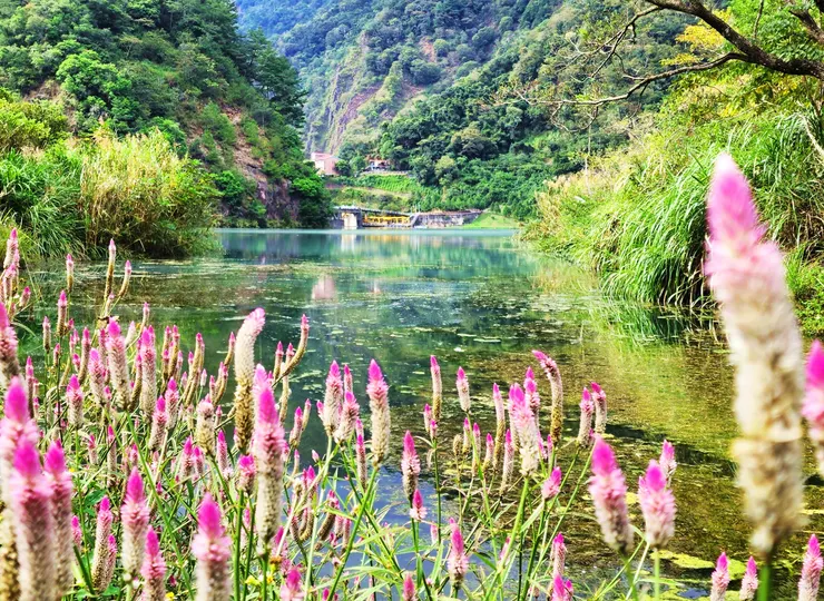武界水庫牛奶湖秘境