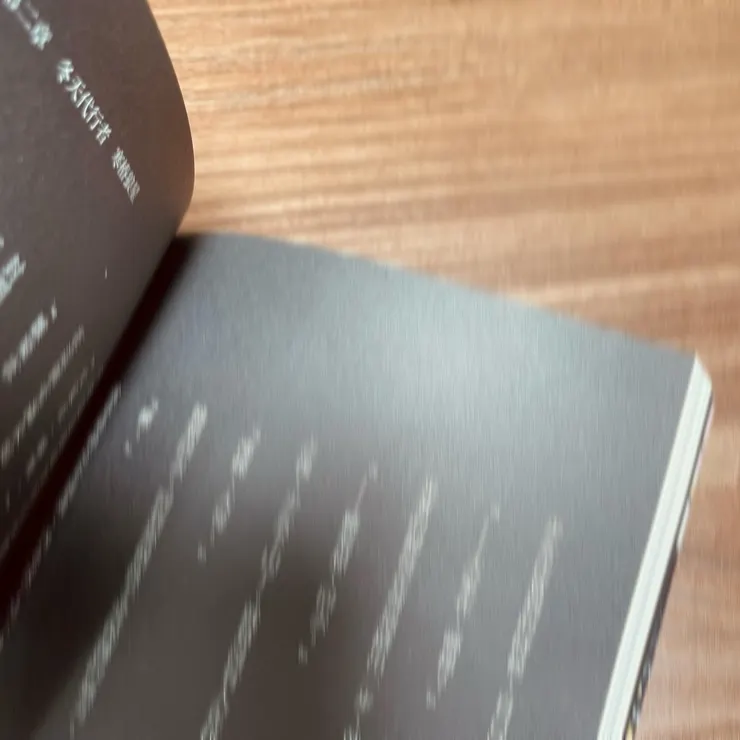 （特殊處理的頁面，怕雷到劇情有模糊處理）