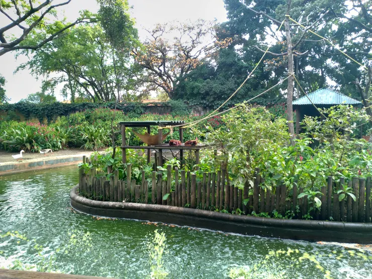 有些需要空間，但又不能向原生鳥一樣丟著不管的動物，也試著給他們最好的空間，這樣的心情是可以被遊客感受到的