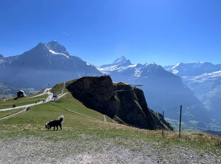 從這裡開始，我們要健行囉