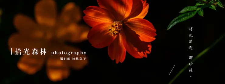 ★我是攝影師 核桃兔子歡迎追蹤我的粉絲頁或IG看我的攝影作品唷!