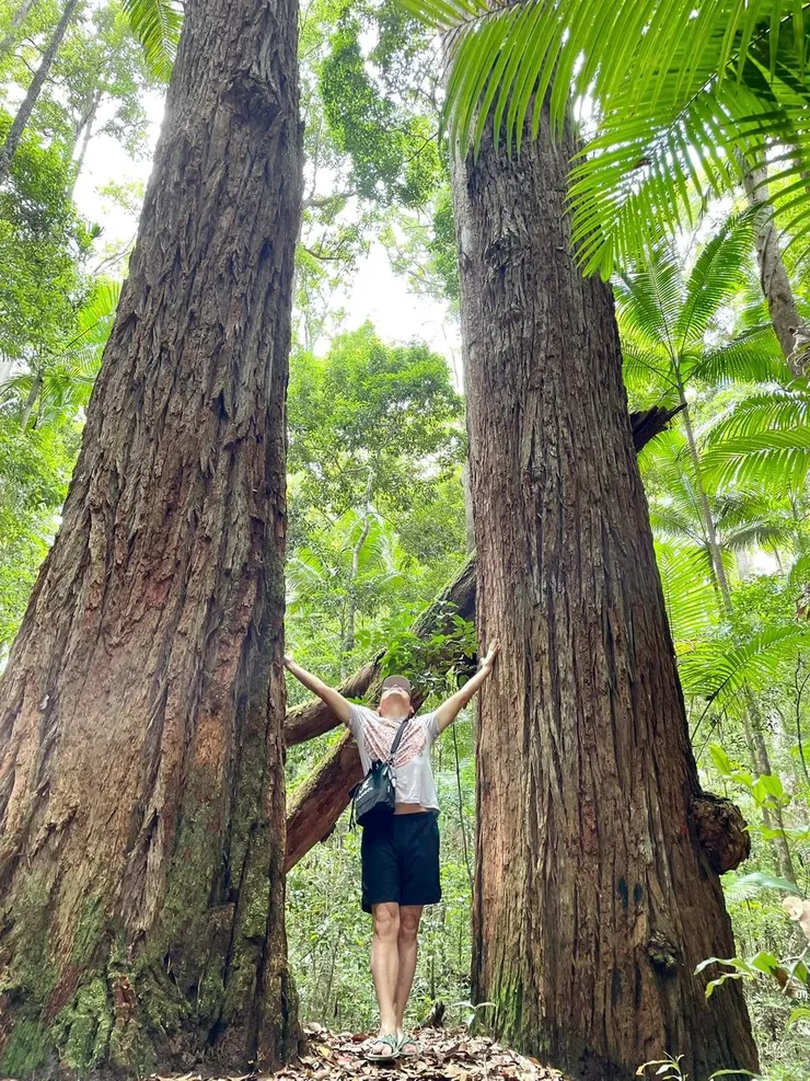 在楊錦聰遇到困頓、不知所以的時刻,大樹慷慨地給予最厚實的支持。