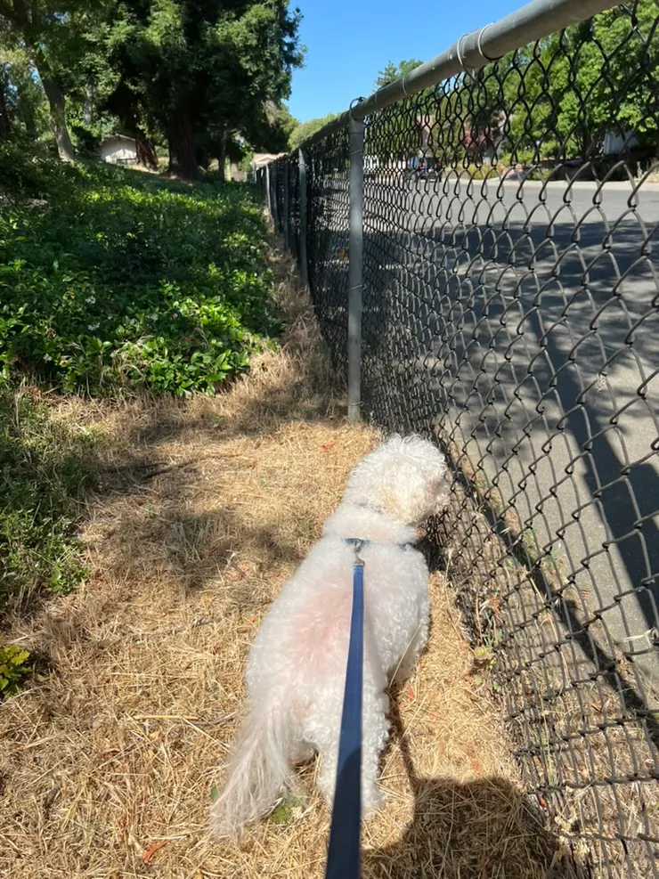 我們走到這裡真的沒路了，才把他拉回頭