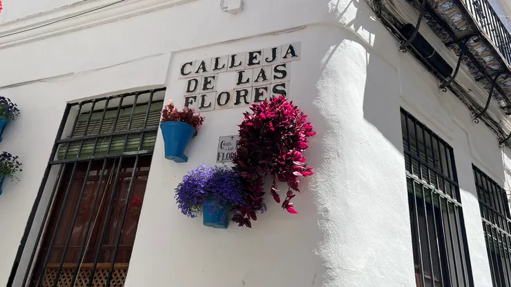 百花巷Calleja de las Flores
