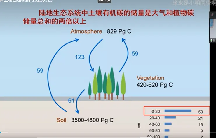 土壤吸收碳的能力是大氣和植物總合的兩倍