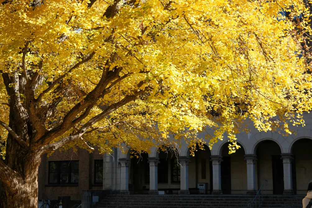 觀景窗後的生活點滴
