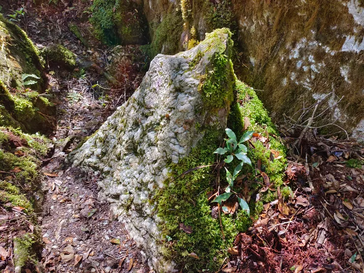途中遇到超大石英巨石