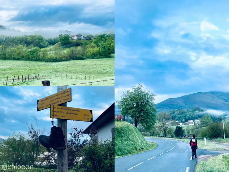 前面小包包走得超級快，原本還可以跟著走，後來一瞬間就不見了