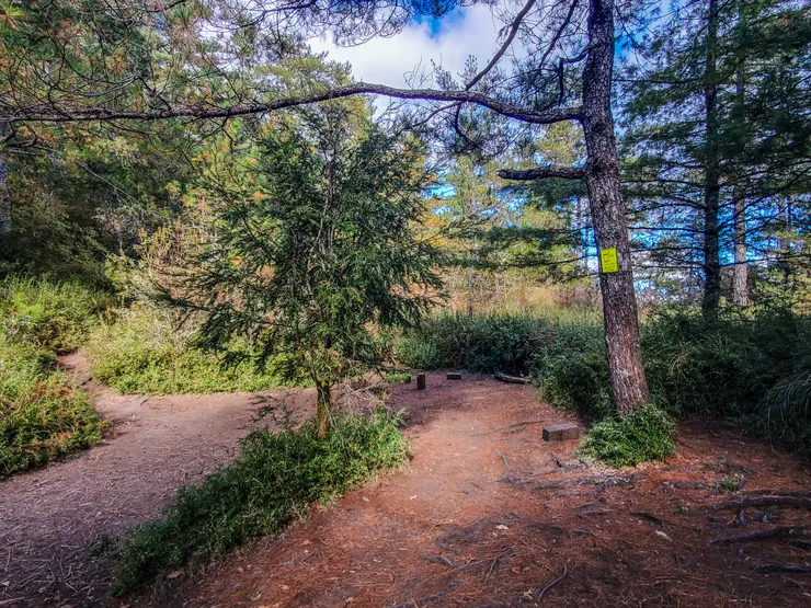 13:32  抵達6k 賽良久營地。無水源。