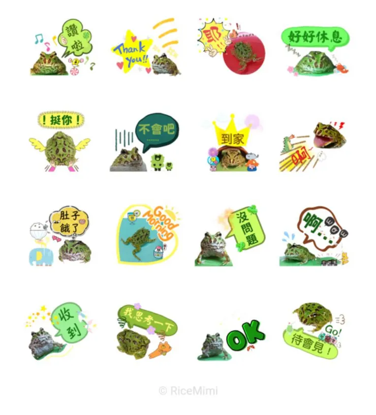 花綠綠的日常，豐富我的日常