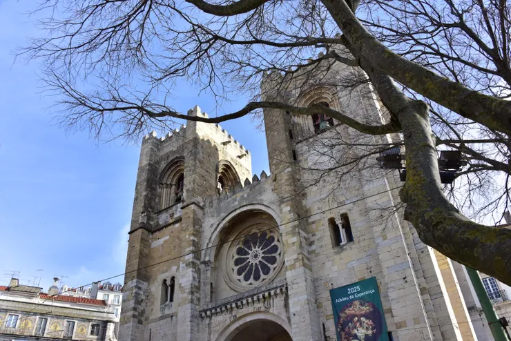 樹木光禿禿的枝枒伸向里斯本主教座堂