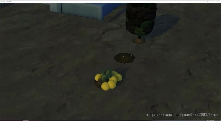 家裡的自訂瓜長大了，切開變成八等份，可惜沒盤子。