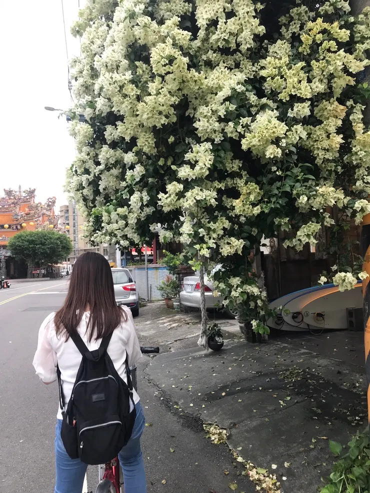 前往大坑自行車道