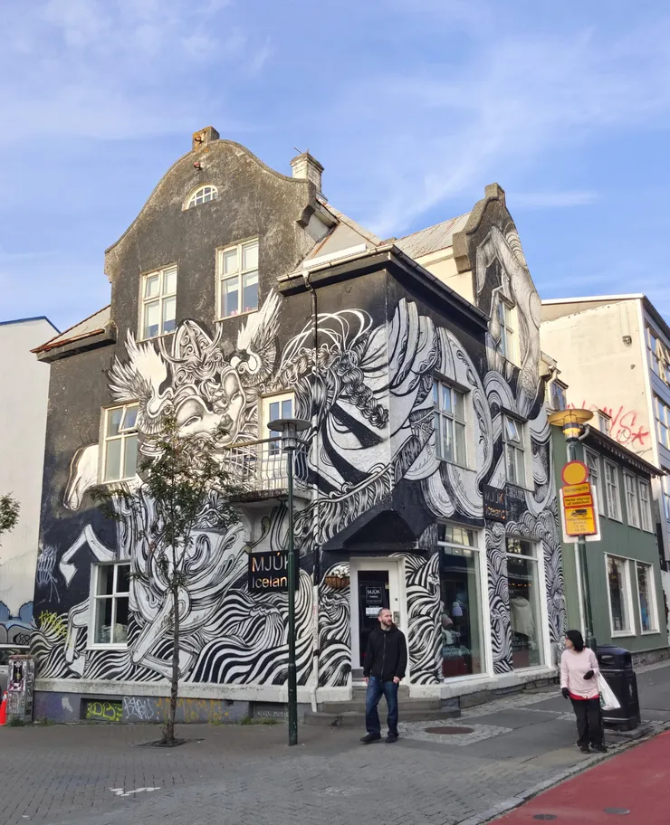 MJÚK Iceland羊毛製品店外的Viking mural(維京壁畫)