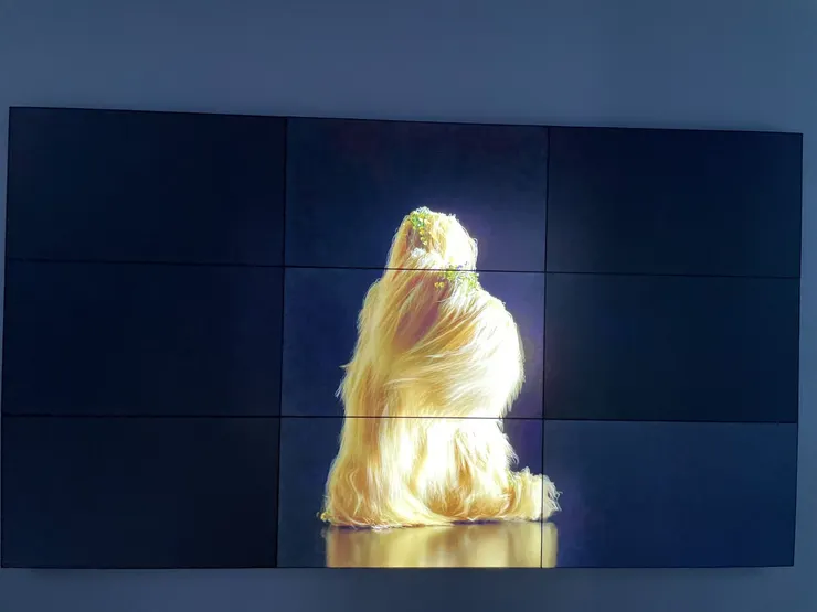 也有變成這不知道是什麼東西的。看起來像……纖維？／ 照片：石貿元  提供