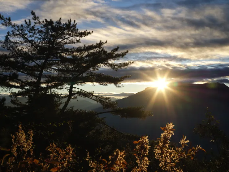 舊人倫工作站辦公廳前的日出