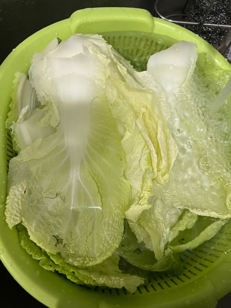 大白菜去蒂頭