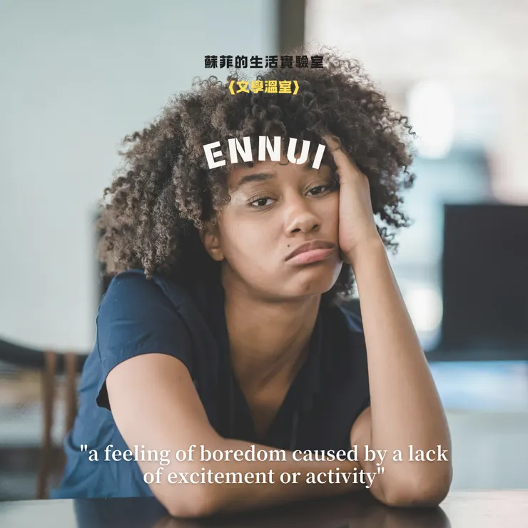 蘇菲的生活實驗室