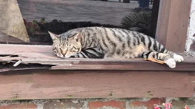 舉頭三尺有神明?