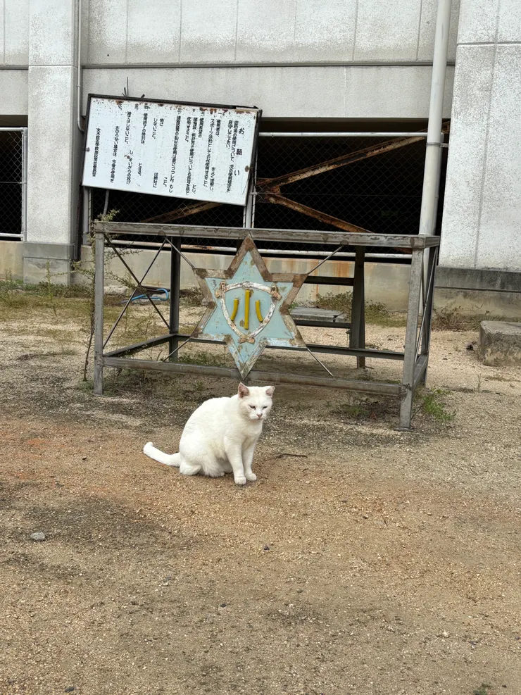 瀨戶內藝術祭｜ 女木島｜貓