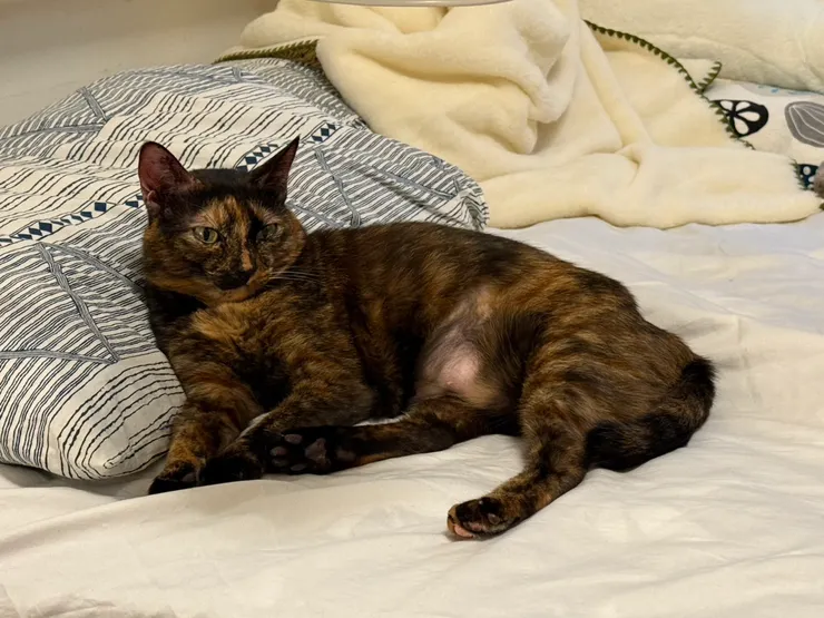 「寶貝，你還生病，你要記得起來吃飯啊！我要算克數！」