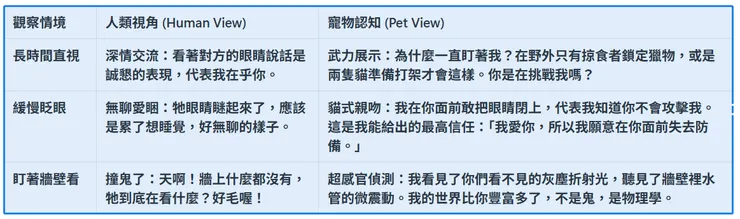 貓的瞳孔訊號解碼表