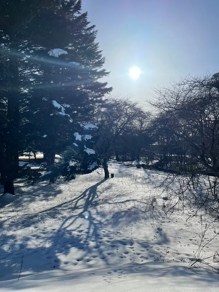 輕井澤outlet小徑