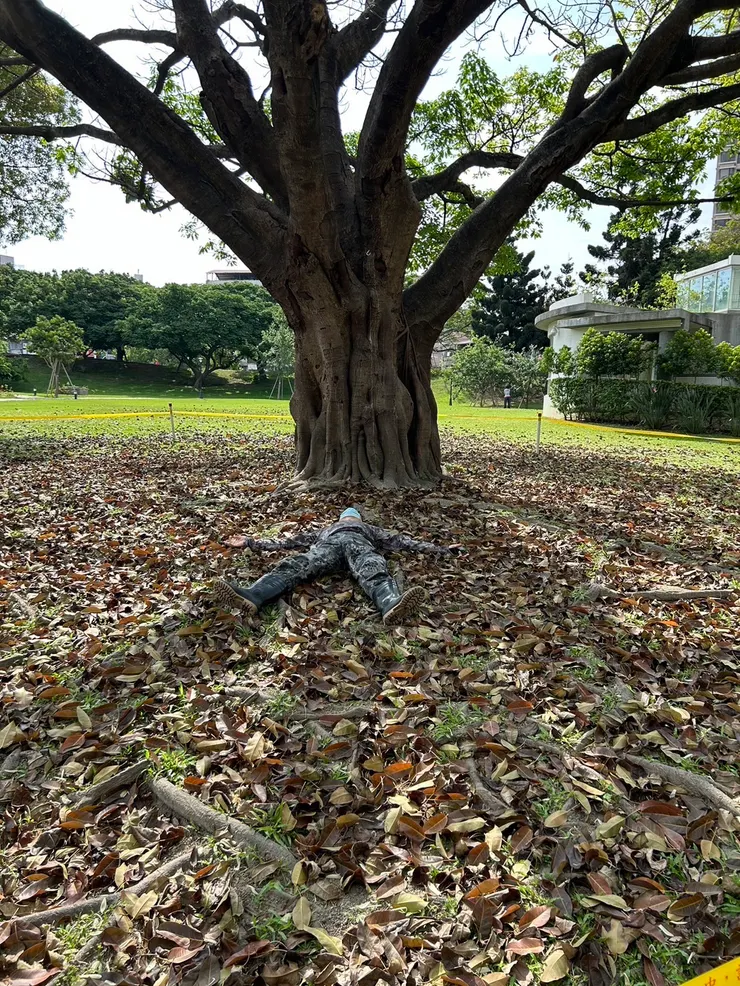 我躺在詩堆裡與風吟唱......