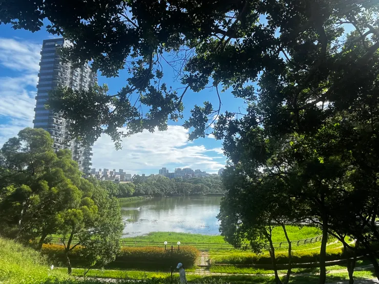 上班前拍的靜心湖