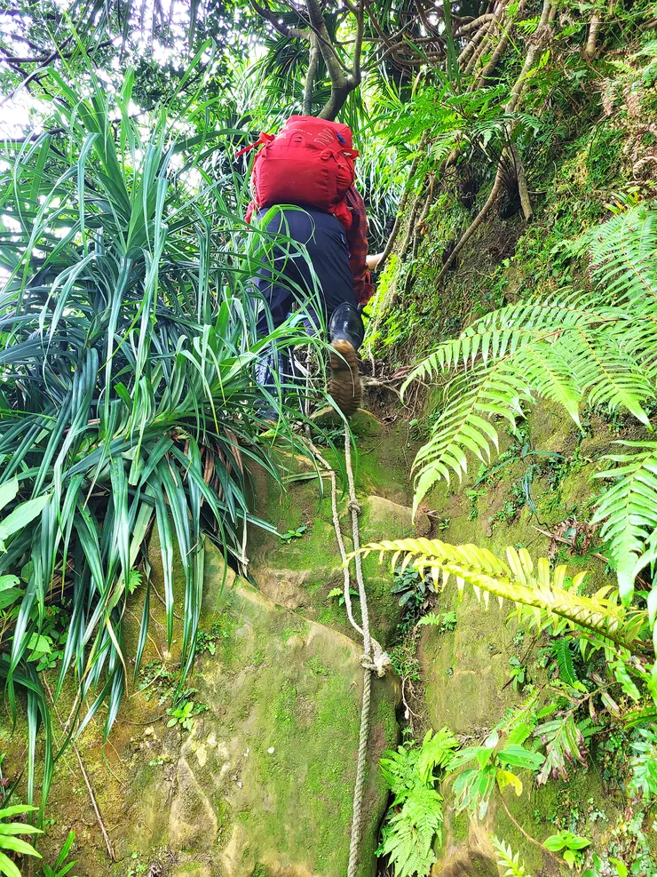 ▲垂直爬升的山壁