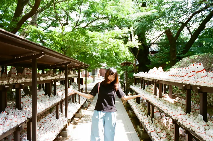 Fuji400底片，拍攝於東京大德寺