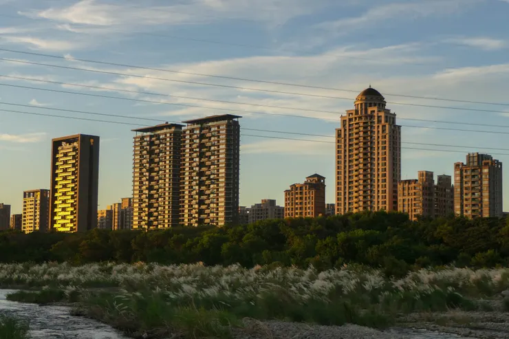 看這張圖就知道芒草快沒了，下次要在早點來拍，這張圖的主角是夕陽下金光閃閃的大樓