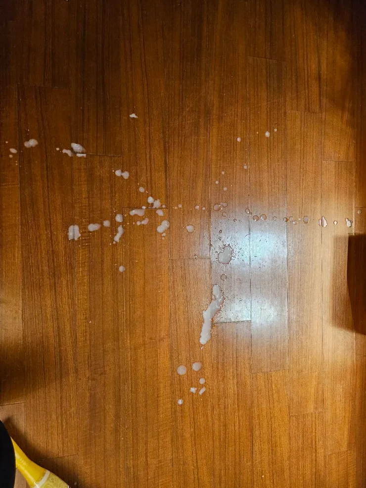 猜猜這是什麼呢？