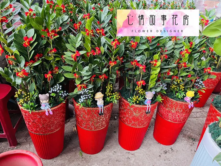 心情故事花房 | 精緻盆栽，優雅送禮新選擇  台南花店推薦  台南盆栽