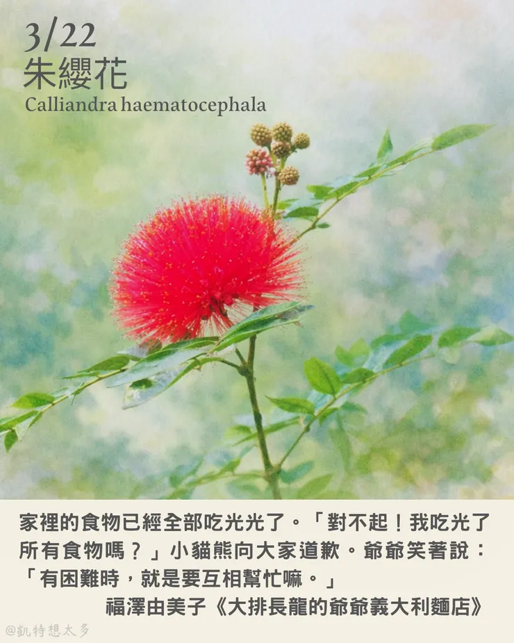 朱纓花×福澤由美子《大排長龍的爺爺義大利麵店》