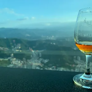 威士忌催化劑的沙龍