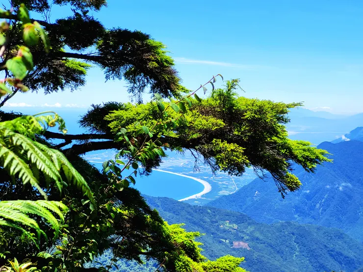 在稜線的開闊處隱約可以看海岸線，趕緊拍一張，以免等下霧鎖山頭