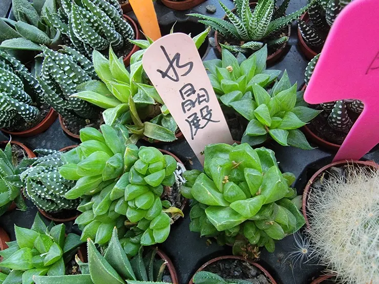 20240324 - 水晶殿