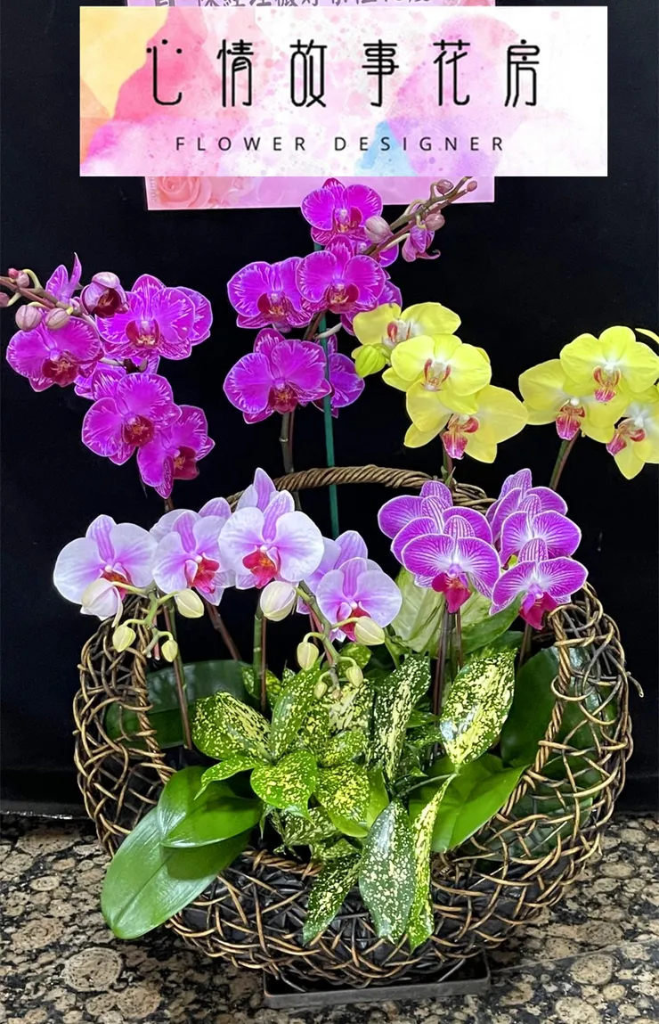  元宵節送花指南 | 台南最推薦花店「心情故事花房」 讓您的祝福更有溫度 