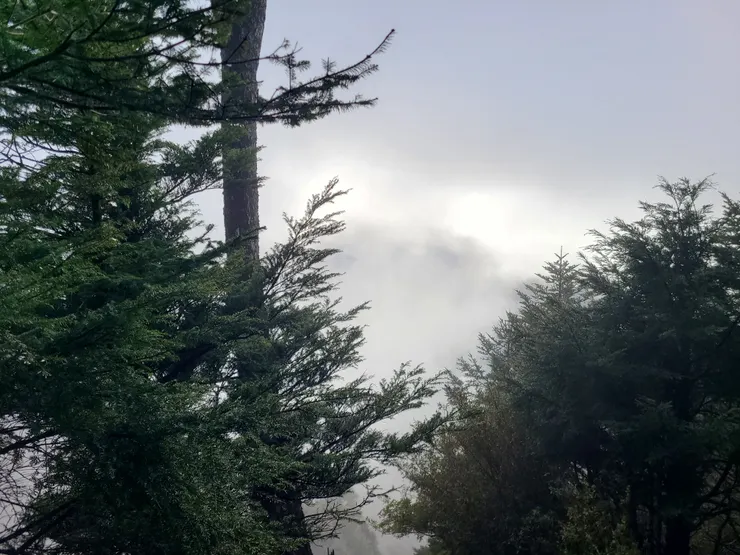 沒幾分鐘，就失去展望，雲霧遮日