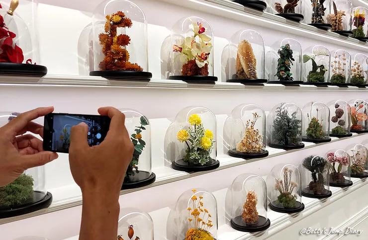 ▲佐登妮絲城堡/圖片來源:Betty's Jump Diary