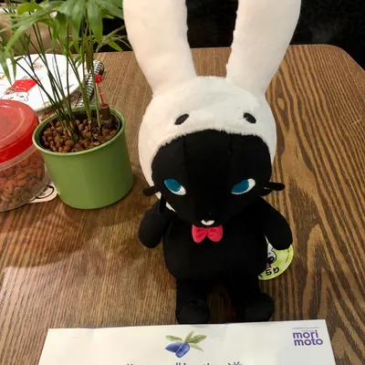 Lucifer Hung的沙龍